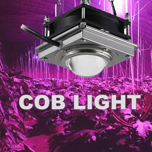 Grow Tent Light COB LED 150W Indoor Lamp For Plants Phyto Lamp Full Spectrum Grow Box Room Greenhouse Lights For Indoor Plants