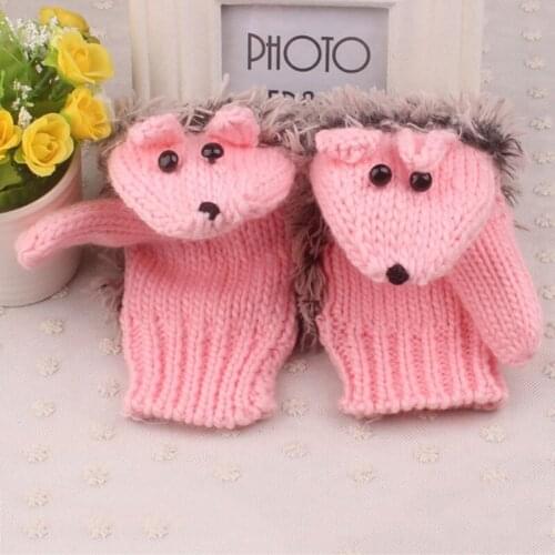 New Girls Novelty Cartoon Winter Gloves for Women Knit Warm Fitness Gloves Hedgehog Heated Villus Wrist Mittens 8 Colors