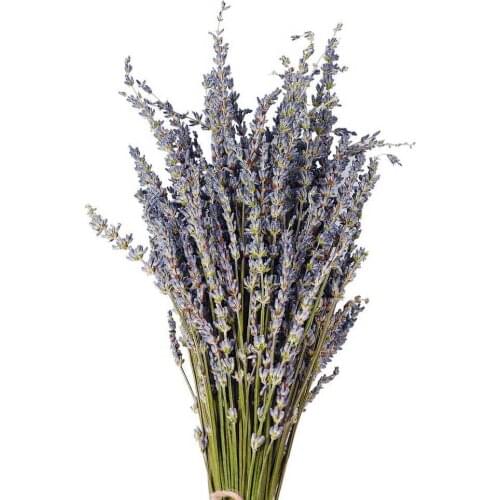 Natural Lavender Bouquet Immortal Fresh Dried Flowers DIY Home Office Banquet Wedding Decoration Beautiful And Comfortable