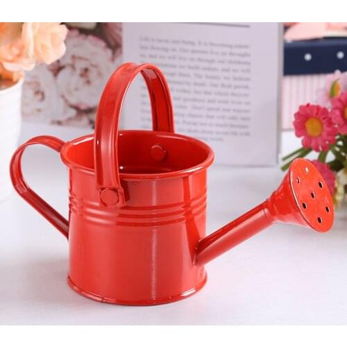 Tin Watering Can Plant Spray Wrought Iron Portable Gardening Tools Metal Sprinkled With Handle Shower