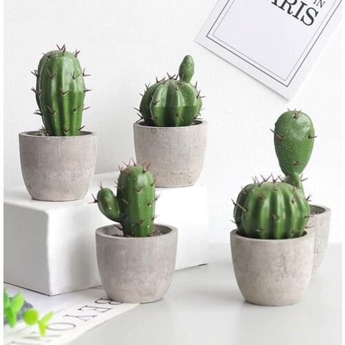 Cactus Ornament Artificial Simulation Cement Desktop Cactus Figure Display Mold for Home
