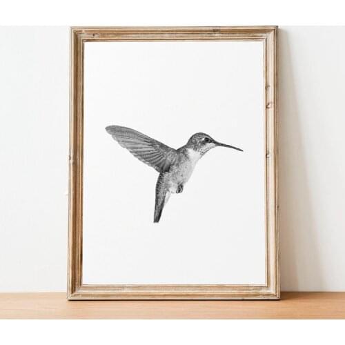 Bird Print Minimalist Wall Art Picture Canvas Painting Black and White Hummingbird Photography Scandinavian Poster Home Decor