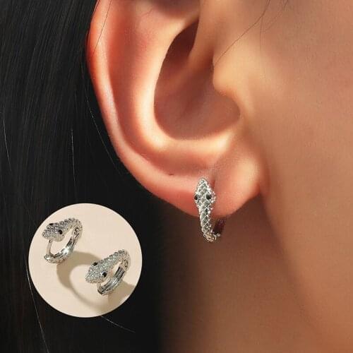 European and American Retro Creative Snake-Shaped Earrings Simple Fashion Personality Punk Popular Metal Earrings