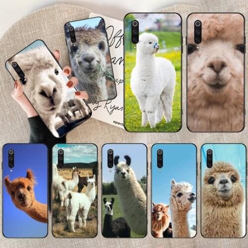 Lama Llama Alpacas Animal Phone Case for Xiaomi Mi Note 10 Lite Mi 9T Pro xiaomi 10 10 CC9 Pro 9SE
