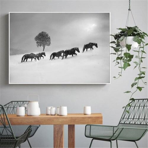 Black White Wall Art Modern Rhinoceros Raccoon Horse Posters and Prints Minimalist Living Room Decoration Maison Cat Pictures