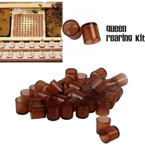 1000 PCS|Beekeeping Bee Queen Cells Nicot Larva Rearing System Honeybee Equipment Apiculture Tools Beehive For Beekeeper
