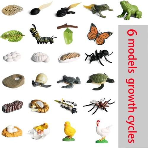 Mini Wild Animals Turtle Frogs Model Simulation Hatchery Tadpole Growing Cycle Action Figures Learning Educational Kids Toy