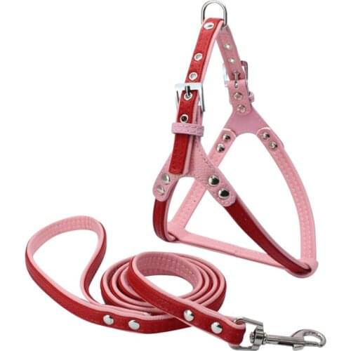 5 Pieces/Lot) High Quality Dog Harness Soft Leather Breakaway Small Medium Dog Pet Harness Leash lead Set