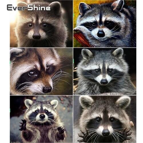 Evershine Diamond Painting Animal Cross Stitch Diamond Embroidery Raccoon Picture Of Rhinestones 5D DIY Needlework Handmade Gift