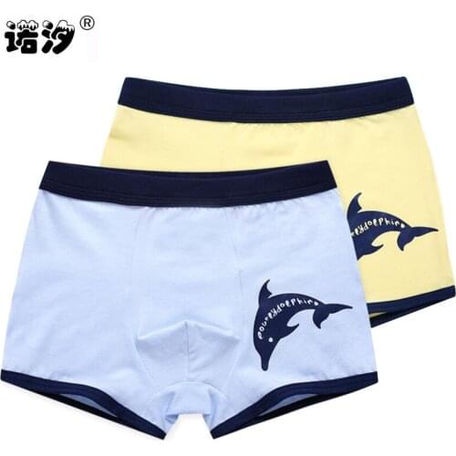 Boys boxer children underwear pure cotton pants high quality panties breathable kids boxer kids clothes teenage pants 2pcs/lot