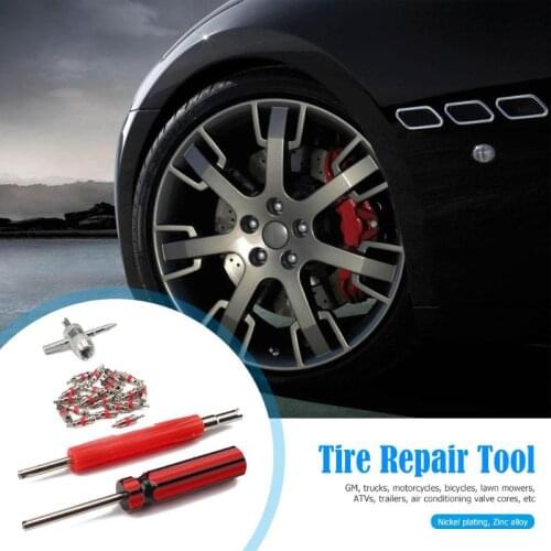 Dual Single Head Valve Core Remover and 20pcs Durable Nickel Zinc Alloy Plating Valve Core and 4-Way Tire Remover Tool