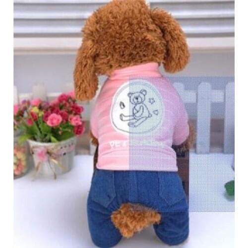2020 new velvet warm Korean bottle bear pet clothes Tai Di Poodle dog clothes four feet than the bear autumn/winter clothes