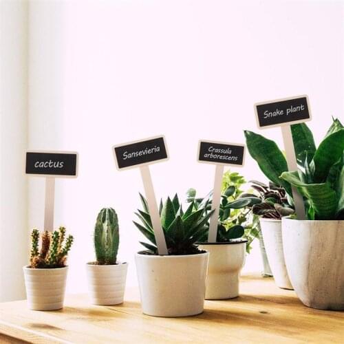 20PCS Mini Wooden Chalkboard Blackboard Creative Decorative Garden Flowers And Plants Pot Tags House Decorations Plant Markers
