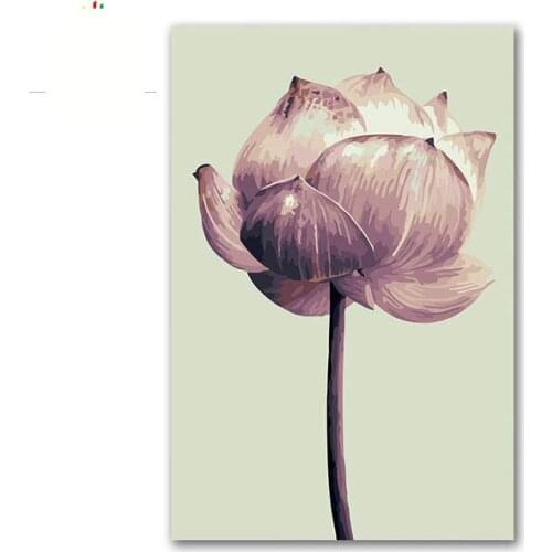 DIY Paints by numbers plant flower lotus,Clean,noble modest picture painting coloring paint with colours for adults