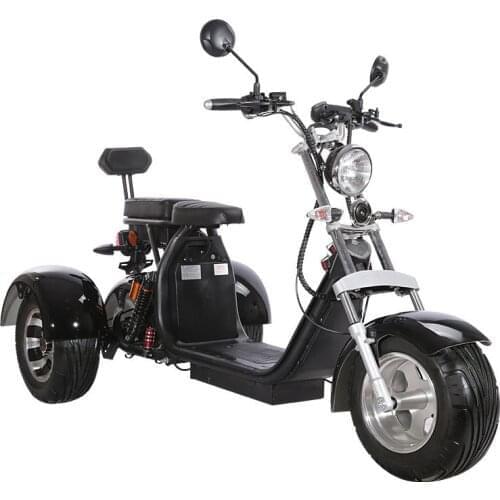3 Wheels Electric Tricycle For Adult 25cm Wide Tire Double Seat Motorcycle Anti-theft Disc Brake Battery Removable