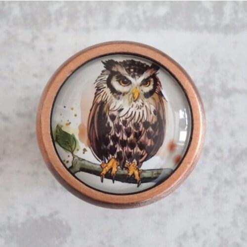 Vintage Owl Knobs Drawer Dresser Knob Handmade Cupboard Pulls Knob Chic Kitchen Cabinet Door Handle Furniture Hardware