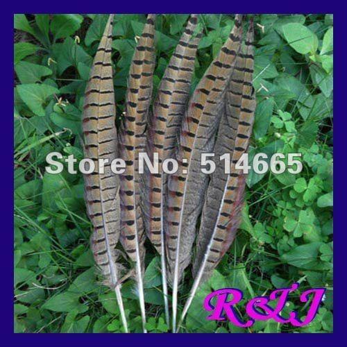 Wholesale pheasant feathers 50PCS 25-30cm 10-12 inches brown pheasant feather tail Free Shipping