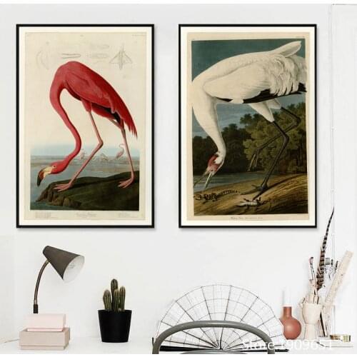 Cotton no frame realist Audubon sea bird canvas printings oil painting printed on cotton home wall art decoration picture