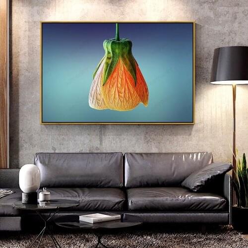 Artcozy Oil Canvas Painting orange_bell_flower For Home Decoration Wall Art
