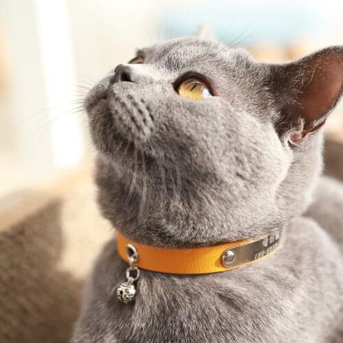 Leather Cat Collar Personalized Cat Collar For Puppy Small Dogs Pet Kitten Nameplate Collar Free Engraving Adjustable