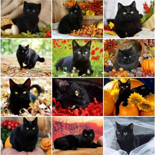 AZQSD Diamond Painting Kit Black Cat Animal Diamond Embroidery Mosaic Handmade Picture Of Rhinestones Gift Home Decor 5d Diy