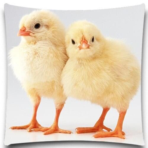 So cute little yellow chick Decorative Square 16 18 20 inch 2D Printed Pillow Case cotton polyester Funny Festival Supply