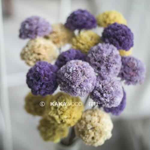 Northern European-Style Home Soft Plant Dried Flowers Dried Fruit Dry Bouquet with Bridal Wedding Bouquet