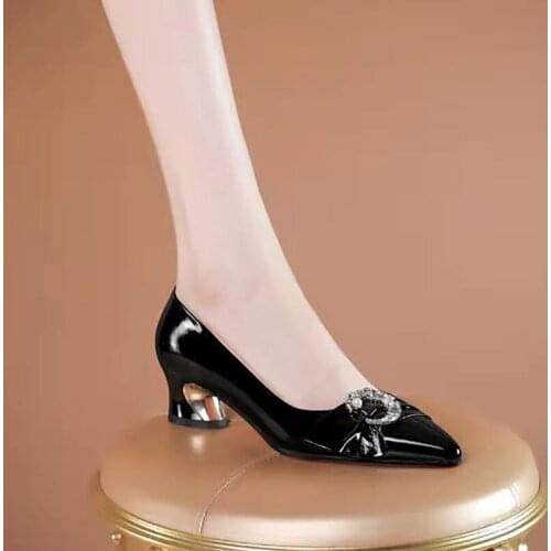 Womens Single Shoes 2021 New Spring Autumn Shallow Mouth Thick Heel Pointed Toe Mid-heel Leather Shoes Large Size Womens Shoes