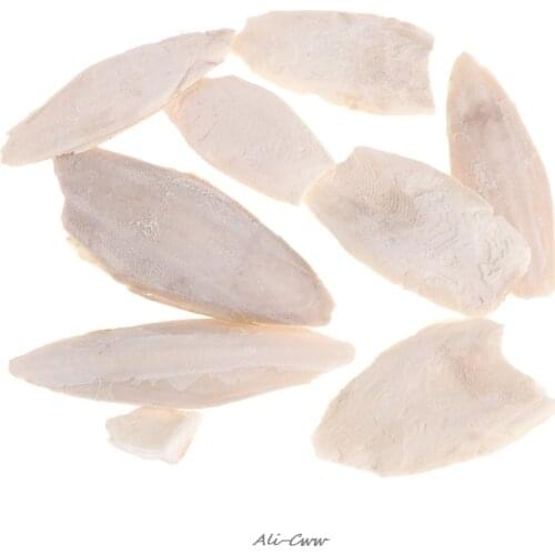 1 Bag Cuttlebone Cuttlefish Sepia Bone Cuttle Fish Bird Food Calcium Pickstone Pet