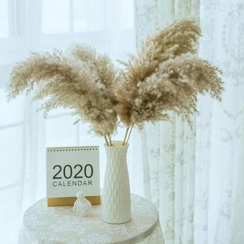 1PC Natural Dryness Reed Grass Bouquet Is a Favorite Flower The Grass Within Wedding Pampas Color Dried Natural Decor Weddi E6K1