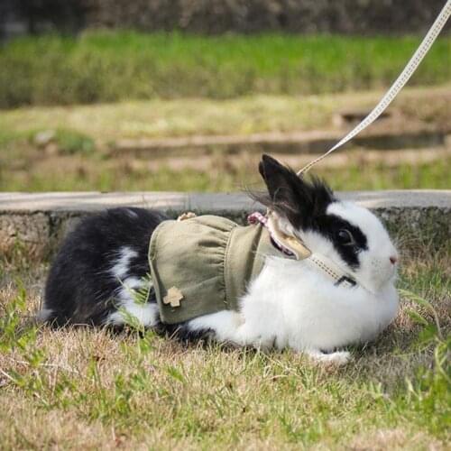 Chest Strap Comfortable To Wear Pet Supplies Cotton Adjustable Harness Vest Leash For Guinea Pig Concise Skirt Traction Belt