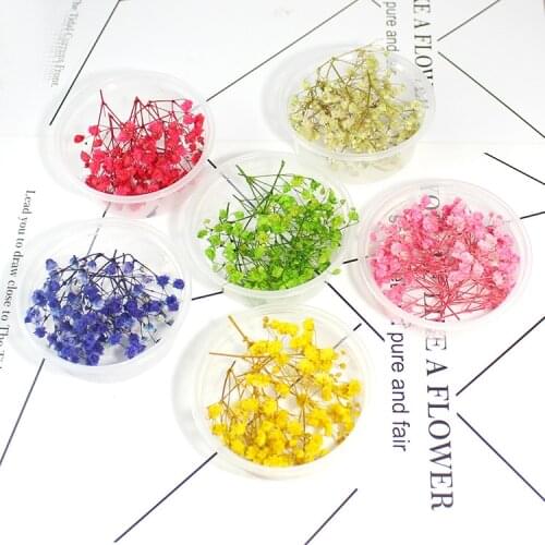 2Boxes Small Babys breath dried flowers for Filler of the mini glass bottles Gypsophila preserved fresh flower real dri