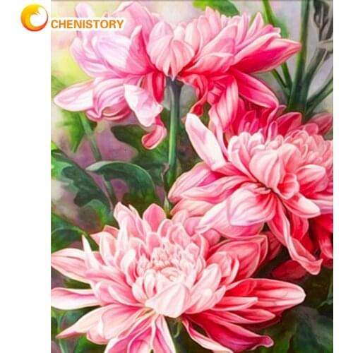CHENISTORY 40x50cm Framed Painting By Numbers Kits For Adults Hand Painted Peony Flower Picture By Number Diy Gift Home Decors