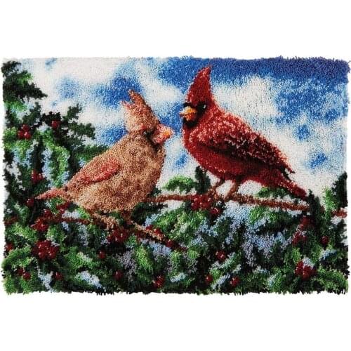 Latch Hook Kits Rug, 3D Pattern Printed Canvas Crochet Needlework Crafts Floor DIY Latch Kits for Adults/Kids Birds Big size