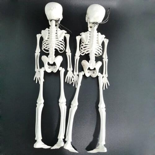 Halloween Decoration Skeleton with Movable Joints Party Decoration Props House Bar Festive Party Decor