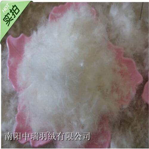 90%white goose down & bulk down & Sleeping bag filler &Bulk swan down & fill power 800 &500g price / paypal accepted