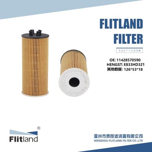 Factory hot selling Oil Filter OEM 11428570590 USE FOR BMW MINI FL-J126