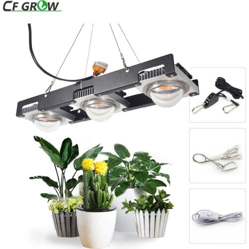 CF Grow Decorative Lighting
