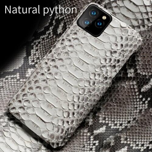 Genuine Leather Python phone case For iPhone 12 Pro Max 11 Pro Max X XS max XR 5s se 2020 5 6 6s 7 8 plus snakeskin luxury Cover