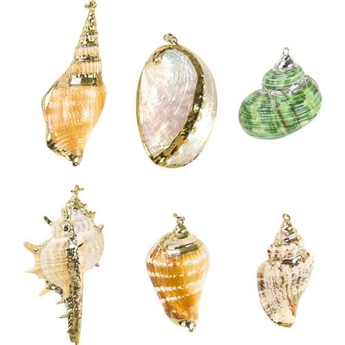 5PCS Natural Conch Seashell Ornaments for Pendant Shells Charms Necklace Pendant DIY Shells for Jewelry Making Accessories
