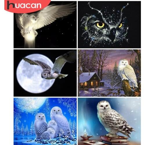 HUACAN 5d Diy Diamond Painting Owl Animal Diamond Art Full Drill Embroidery Decorations For Home Gift