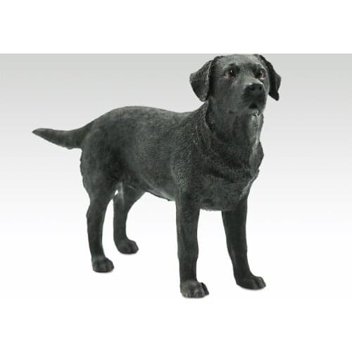 M004 MINITIMES 1:6 Scale Soldier American Seal Helmet 12-inch Action Figure Doll Scene Prop Model Toy Accessories