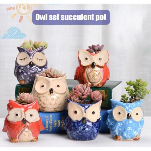 6pcs Cartoon Owl Shape Succulent Pot Ceramic Succulent Plant Flower Pot Container Planter Bonsai Pots