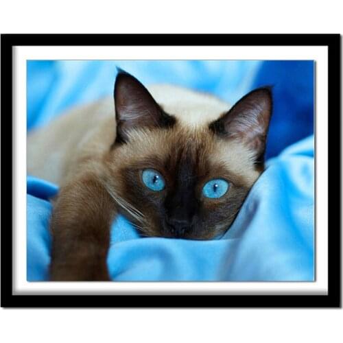 Diamant painting Diamond embroidery animals cat 5d diy diamond painting full square diamant painting 465DD diamond round