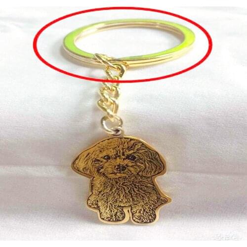 Custom Silver Pet Cat Dog Photo Keychain Pendants Silver Gold Engrave Name Keyring Personalized Women Men Jewelry Memorial Gift