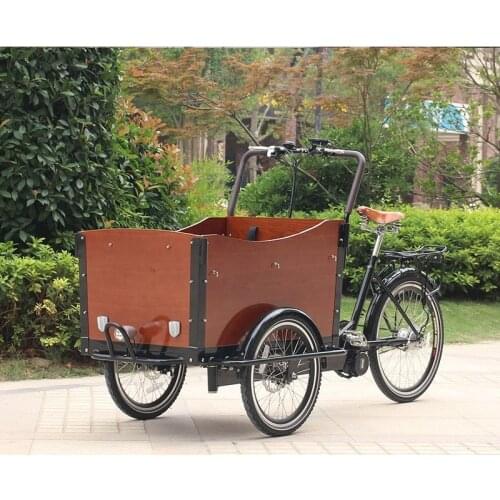Front loading cargo trike 2019 Holland manufacturer factory family cargo bike