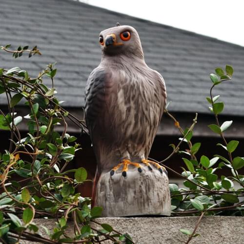 Plastic Hawk Hunting Decoys Scarecrow for Birds Garden Bird Deter Scarer Pest Control Deterrent Decor For Bird Repeller