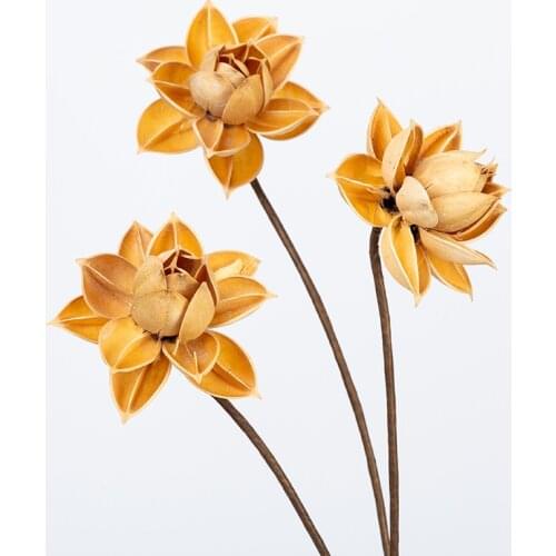 2PCS Natural Dried Flower Branch,Craft Lotus,DIY Display Flower for Room Office Wedding Favor Floral Decor,Gift Eternelle Rose