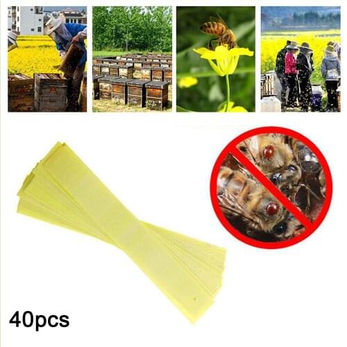 40pcs Professional Acaricide Beekeeping Fluvalinate Bee Mite Varroa Killer Treatment Tool Beekeeping Medicine Pest Control Strip