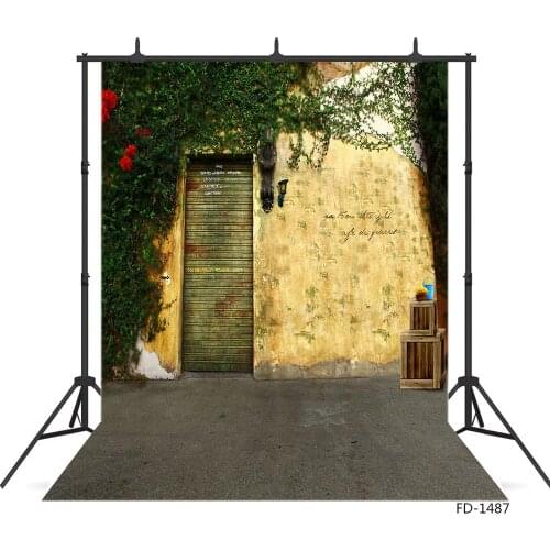Outdoor Old House Door Photography Backgrounds for Photo Studio Vinyl Cloth Portrait Photo Backdrop for Kid Baby Photophone